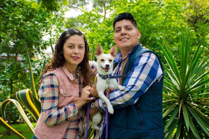 Contagiando de amor - 2