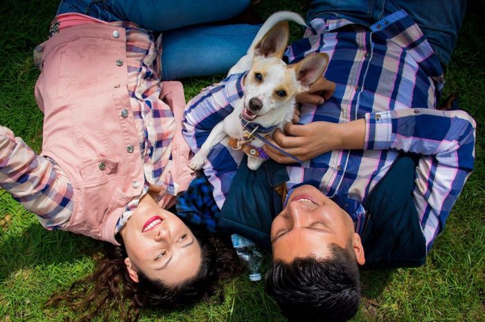 Contagiando de amor - 4