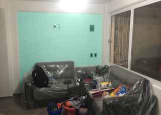 sala gris con negro muro verde