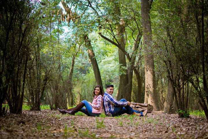 preboda P&A