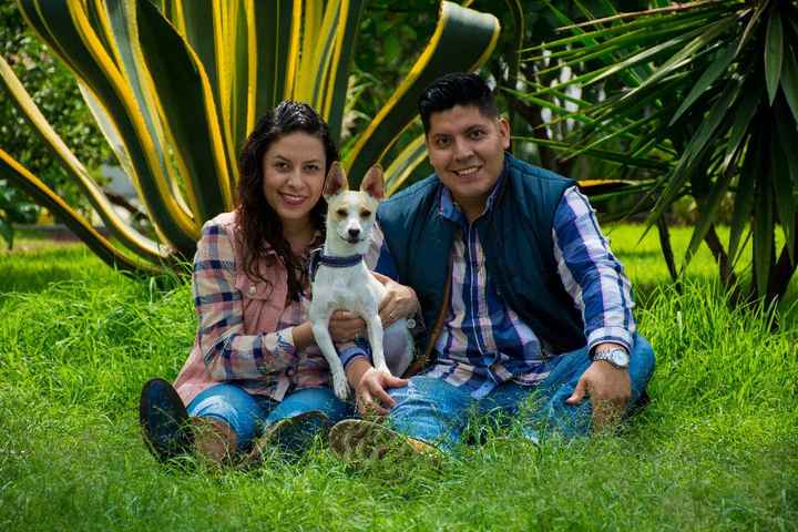 Familia MO