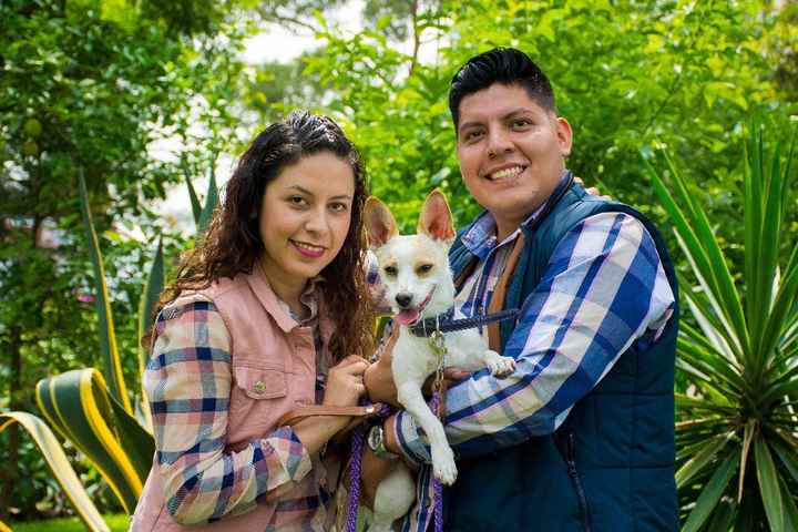 Familia MO