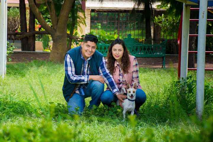 Familia MO