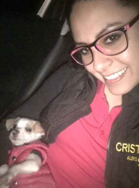 Capitan Jack Sparrow