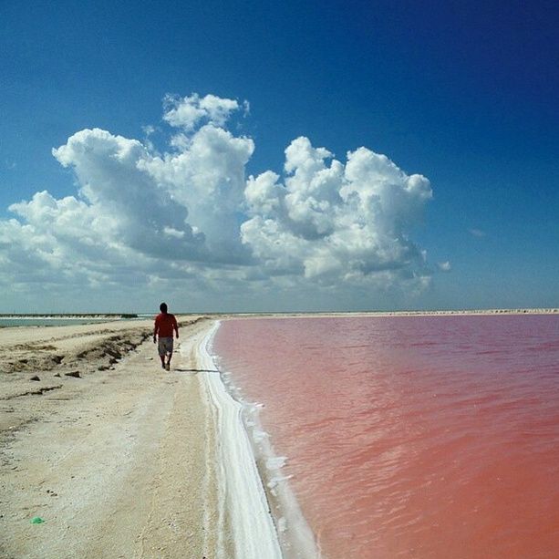 isla rosada
