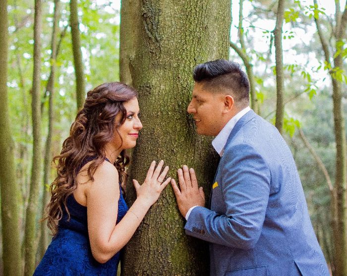preboda P&A