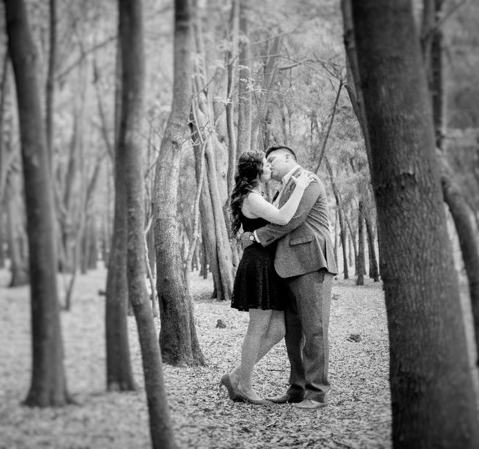 preboda P&A