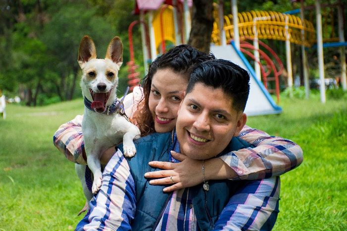 Familia MO