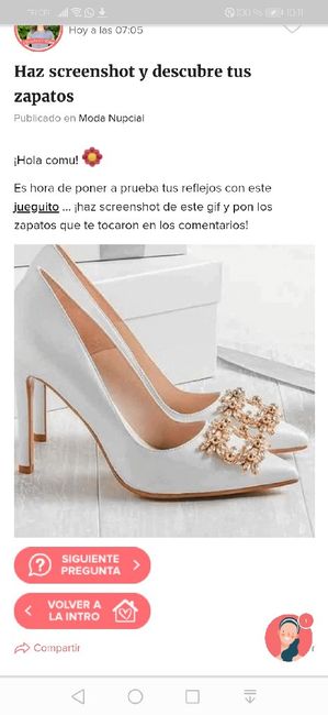 Haz screenshot y descubre tus zapatos 20