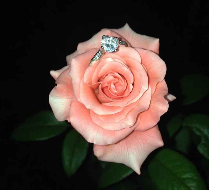 Me la paso tomándole fotos, me encantaa!