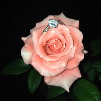 Me la paso tomándole fotos, me encantaa!