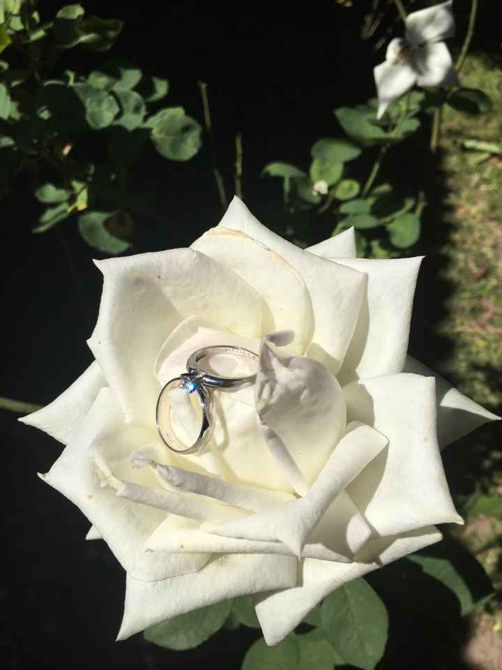 Argollas en oro blanco ¿sí o no? - 1