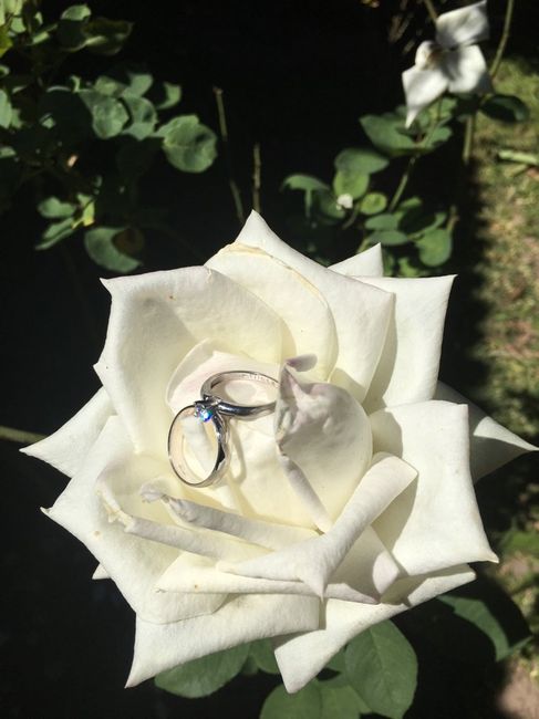 Argollas en oro blanco ¿sí o no? - 1