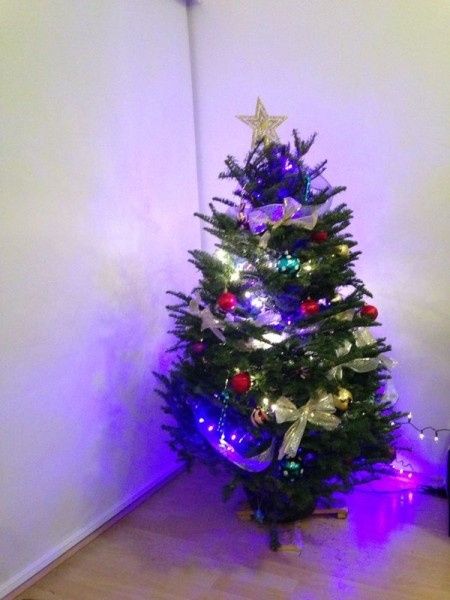 nuestro primer arbolito