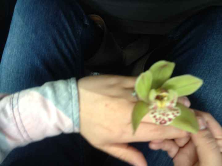 Ya eligieron su ramo?? qué color y tipo de flor será? - 1