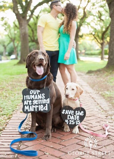 Save the date en la playa 1