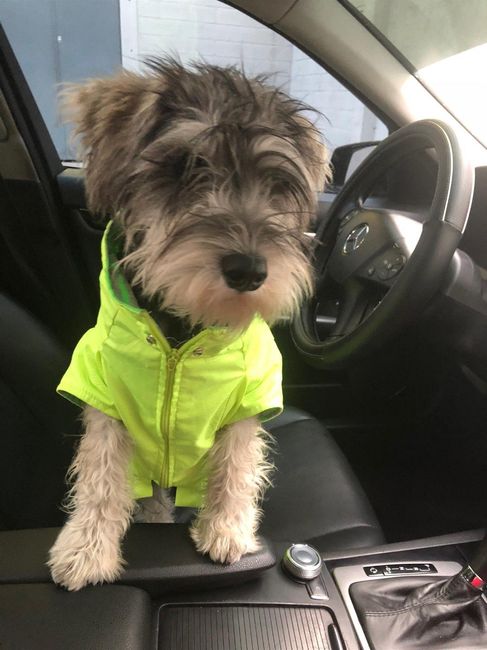 a  presentarnos  😊 14