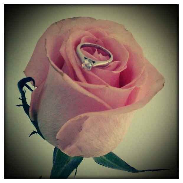 Simplemente hermoso!!