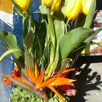 Como la pasaron el 14 de febrero? - 1