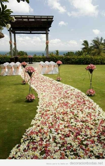 Camino de altar con pétalos rosa - 1