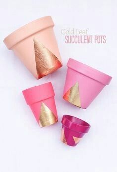 Suculentas con macetitas color rosa 4