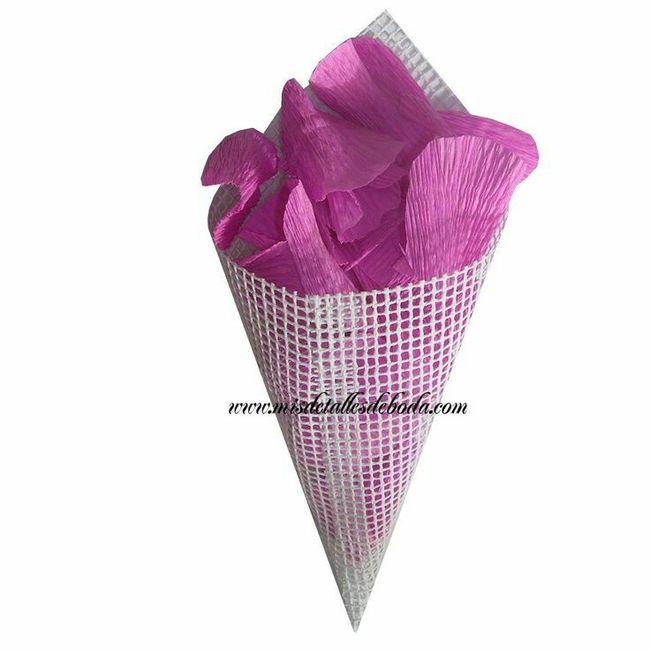 cono   12