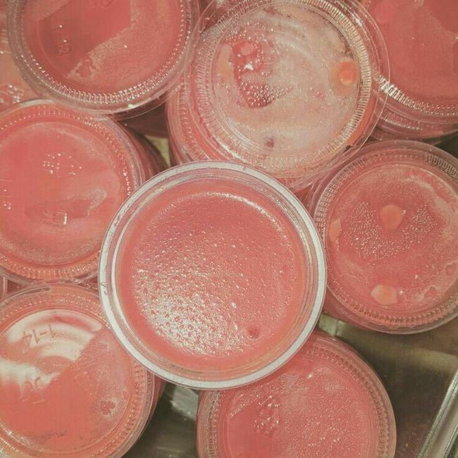 Gelatinas y paletas con alcohol en Rosa. - 2