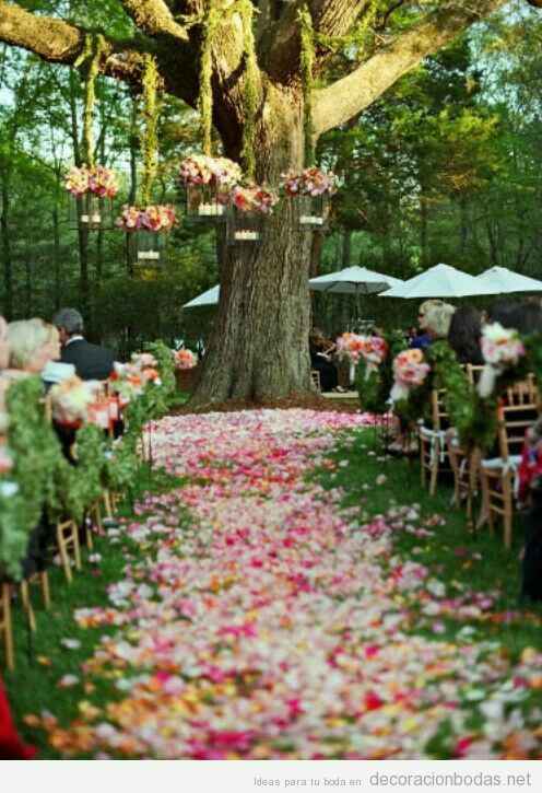 Camino de altar con pétalos rosa - 8