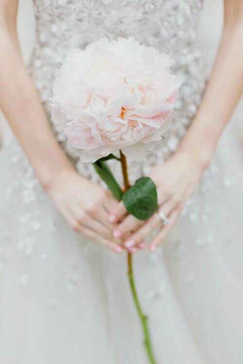 Flor gigante como ramo en Rosa - 9