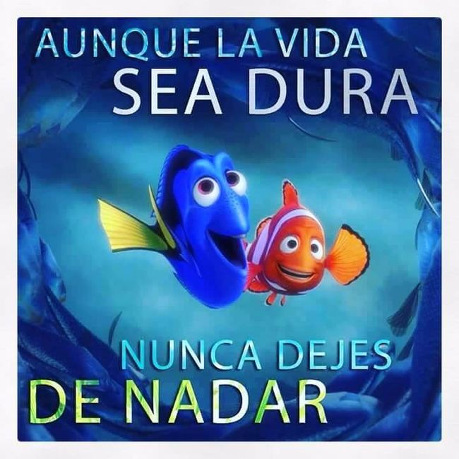 Nadaremos! Nadaremos!