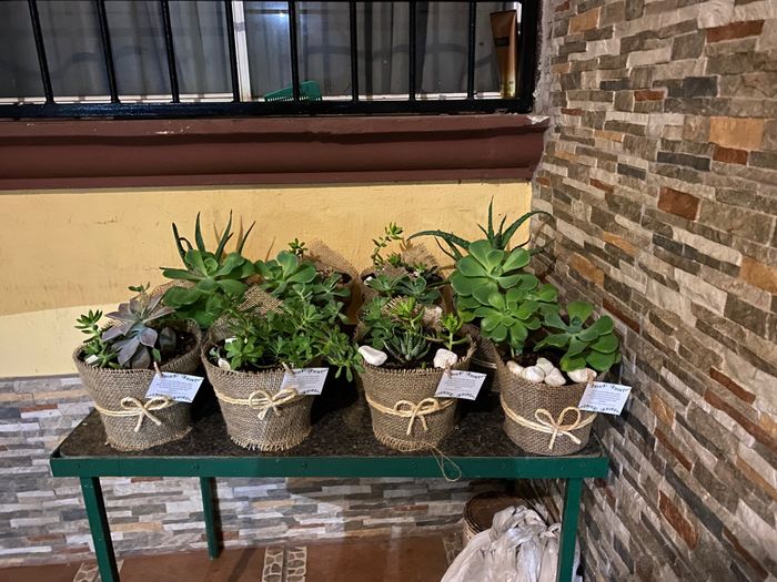 4. ¿Crees que tu boda será sustentable? 3