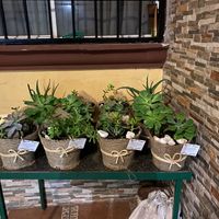 4. ¿Crees que tu boda será sustentable? - 1