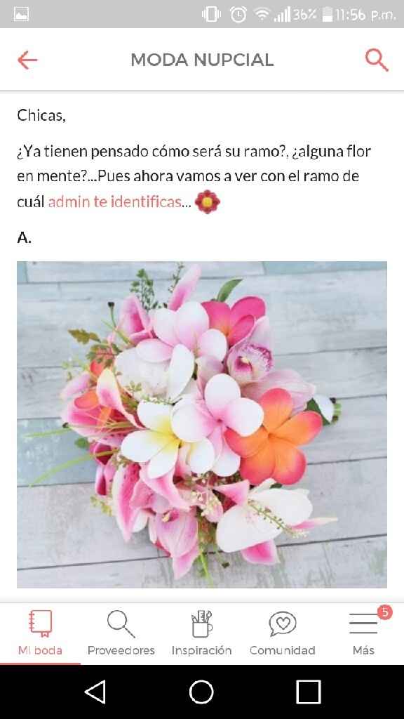 Mi estilo de admin: verónica - 3