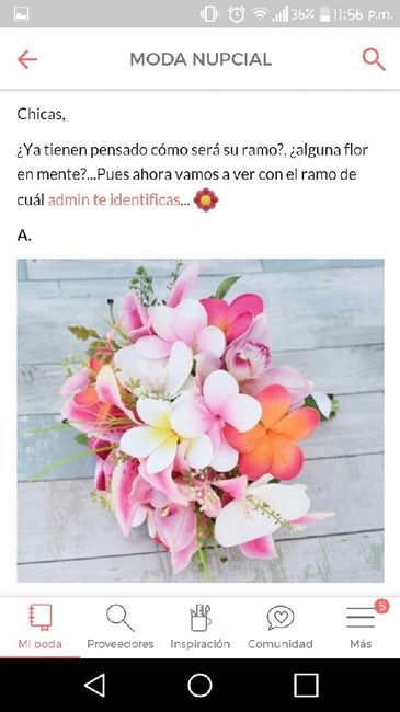 Mi estilo de admin: verónica - 3