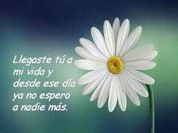 De pronto, se convirtió en el amor de tu vida! - 4