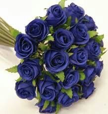 Combinaciones con azul - 4