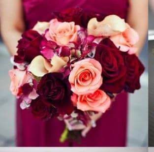 Presume tu ramo! - 1