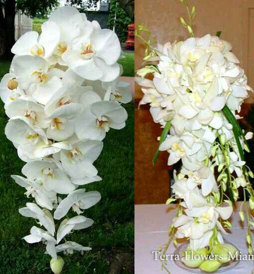¿De qué flores eres fan para tu ramo? - 4