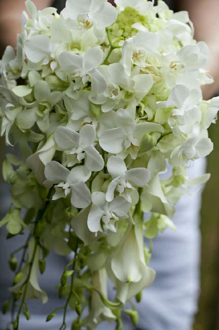 ¿De qué flores eres fan para tu ramo? - 6