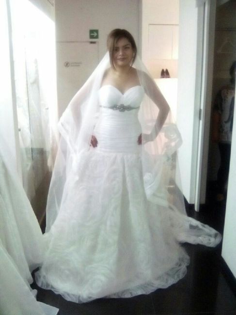  Buscando Vestido de Novia!! - 1