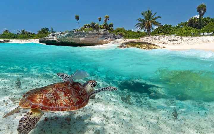 Paraíso