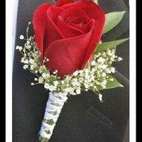 Lupitha me presento - 1