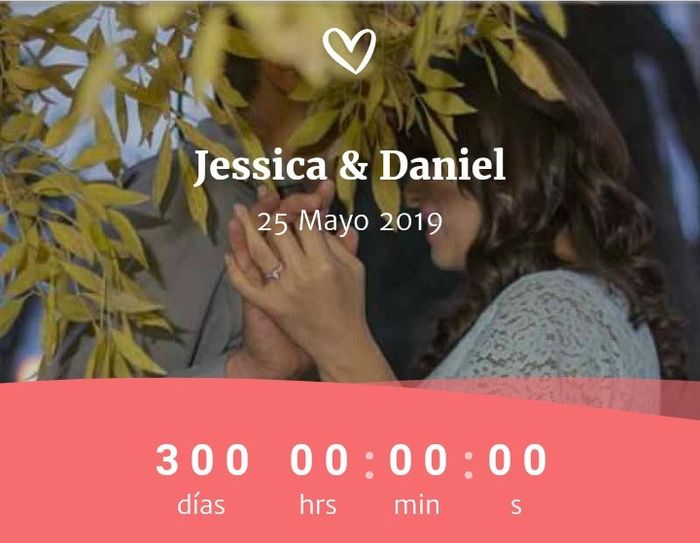 300 días