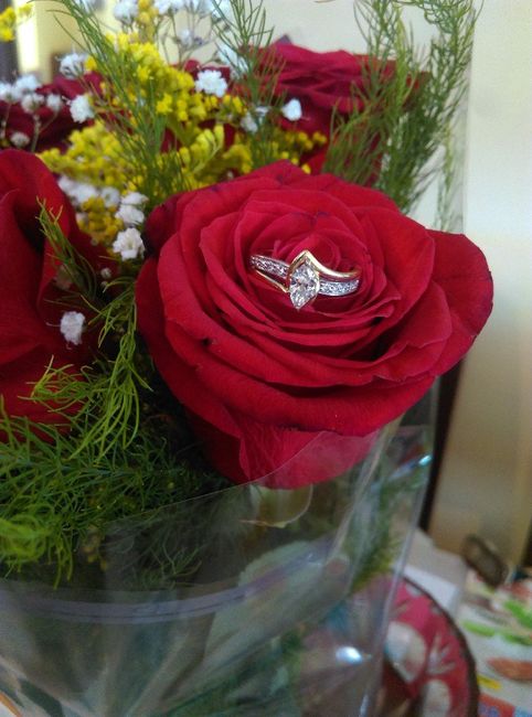 Mi sorpresa romántica Jess 1