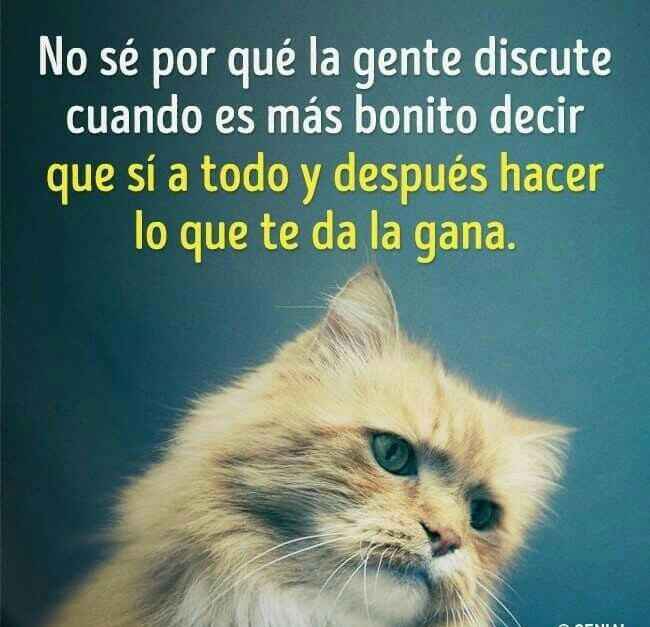 Dejas que opinen sobre tu boda? 👰🏽🎩 - 1