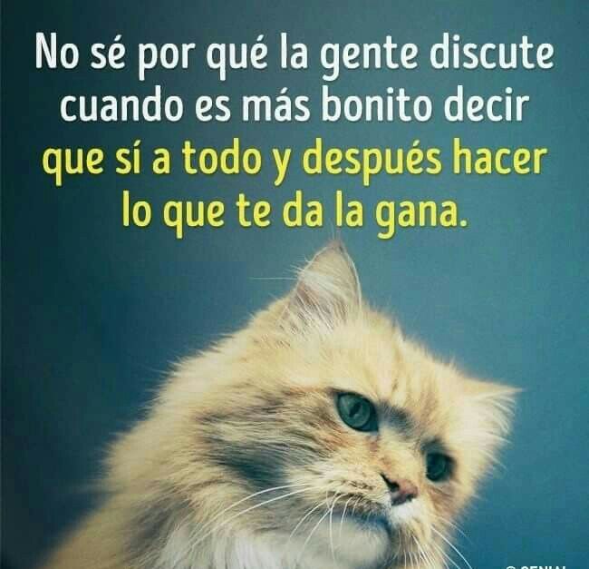 Dejas que opinen sobre tu boda? 👰🏽🎩 - 1