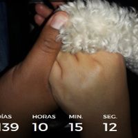 Ya falta menos... que felicidad :D 