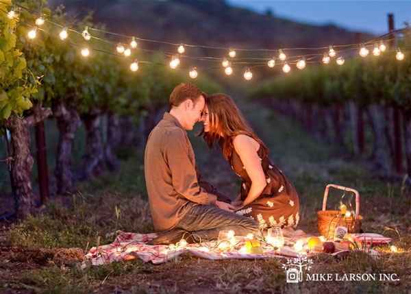 Picnic 2