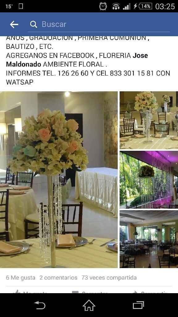 Novias de tampico - 1