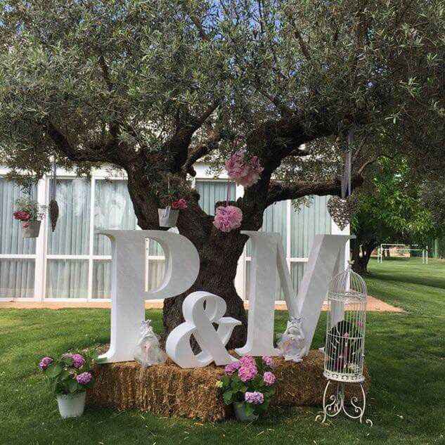 Ideas para boda en jardin - 13